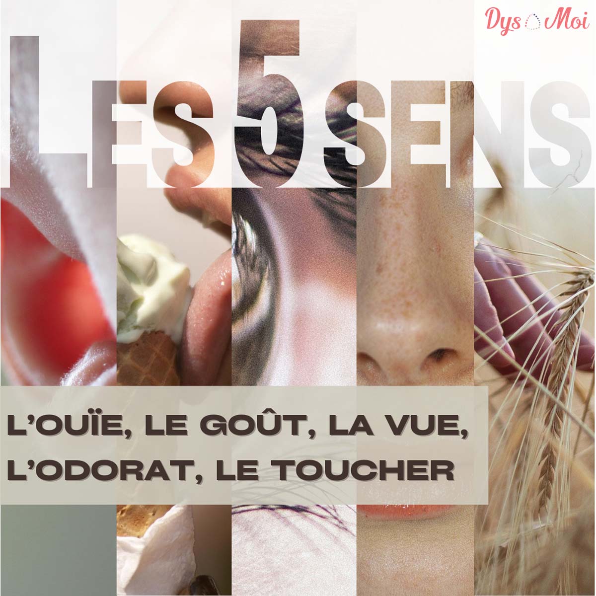 Les 5 Sens… ou, plutôt les 9 Sens?