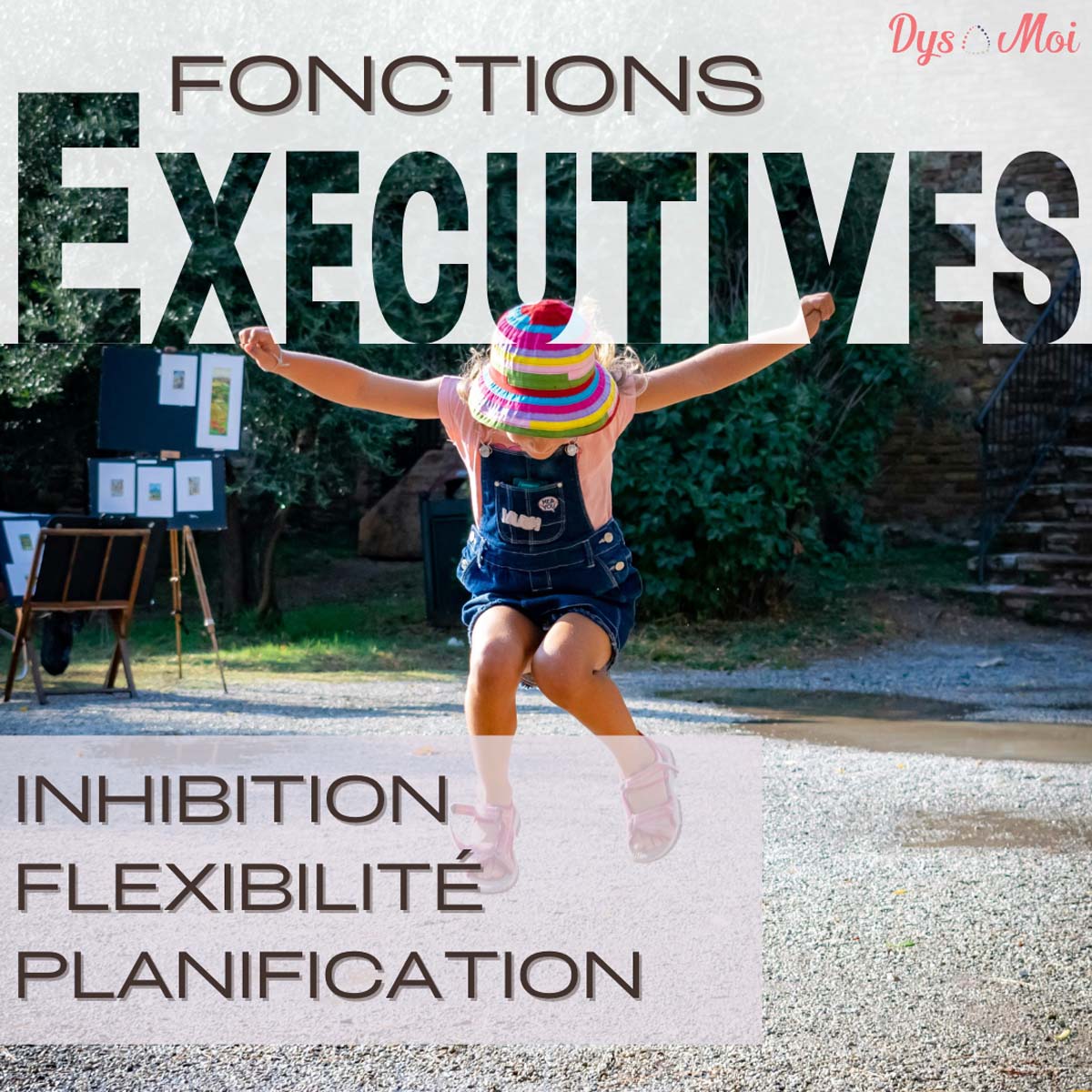 Les fonctions exécutives